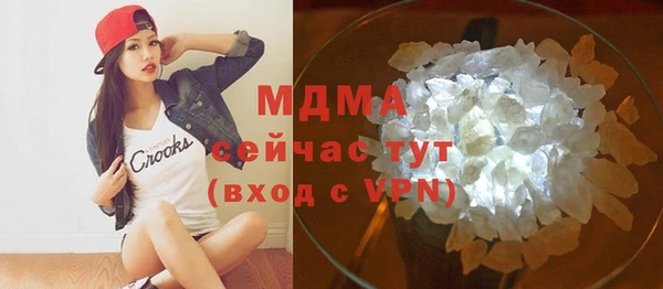 индика Гусев