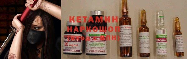 индика Гусев