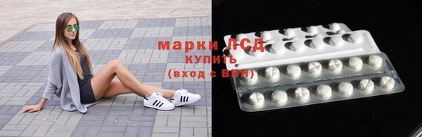индика Гусев