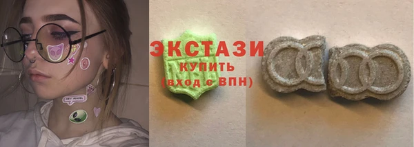 шишки Гусиноозёрск