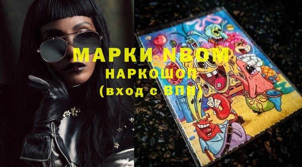 индика Гусев