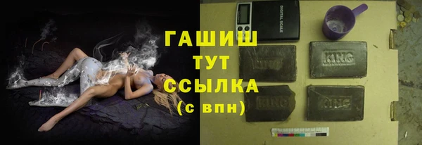 индика Гусев