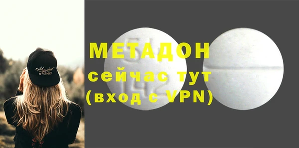 шишки Гусиноозёрск