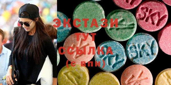 индика Гусев