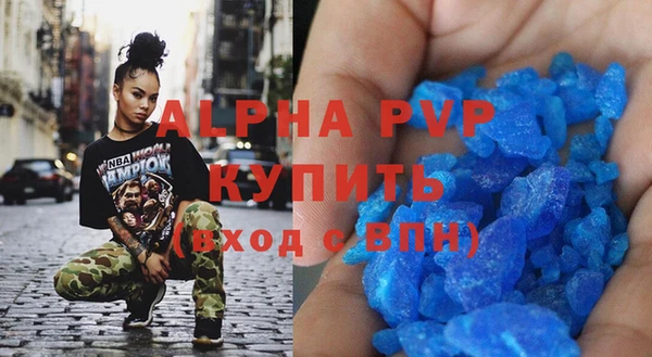 индика Гусев