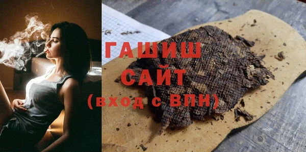 индика Гусев