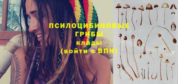 экстази Гусь-Хрустальный