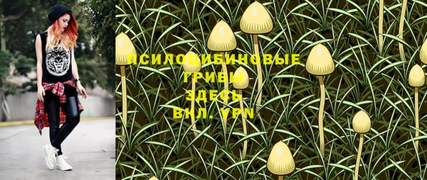 шишки Гусиноозёрск