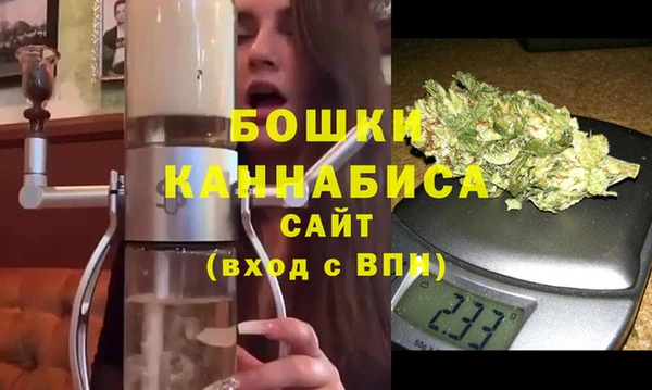 шишки Гусиноозёрск