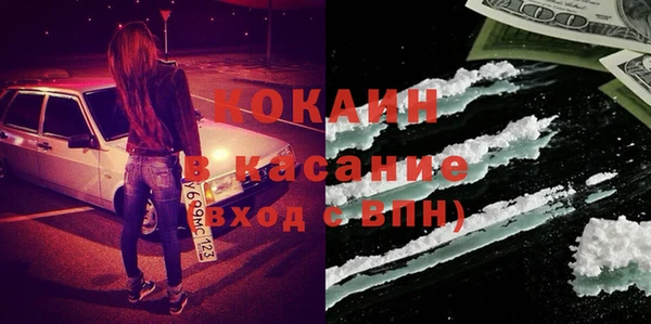 индика Гусев