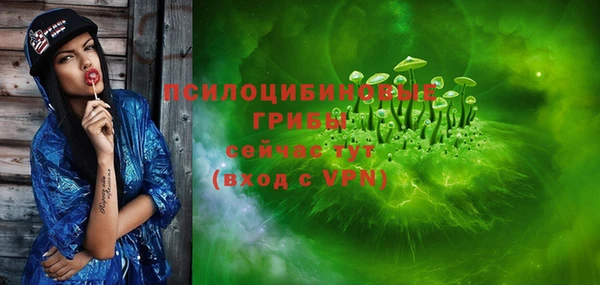 индика Гусев