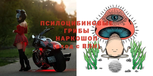 шишки Гусиноозёрск