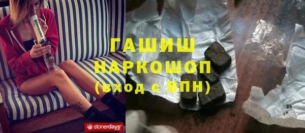 индика Гусев
