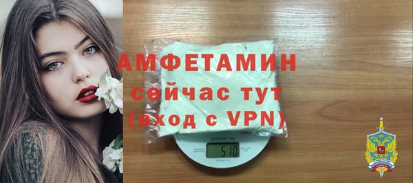 индика Гусев