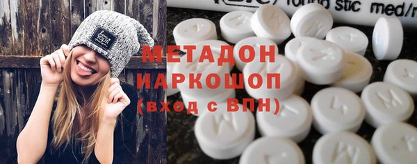 индика Гусев