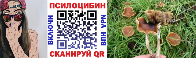 Галлюциногенные грибы мухоморы где продают наркотики Очёр